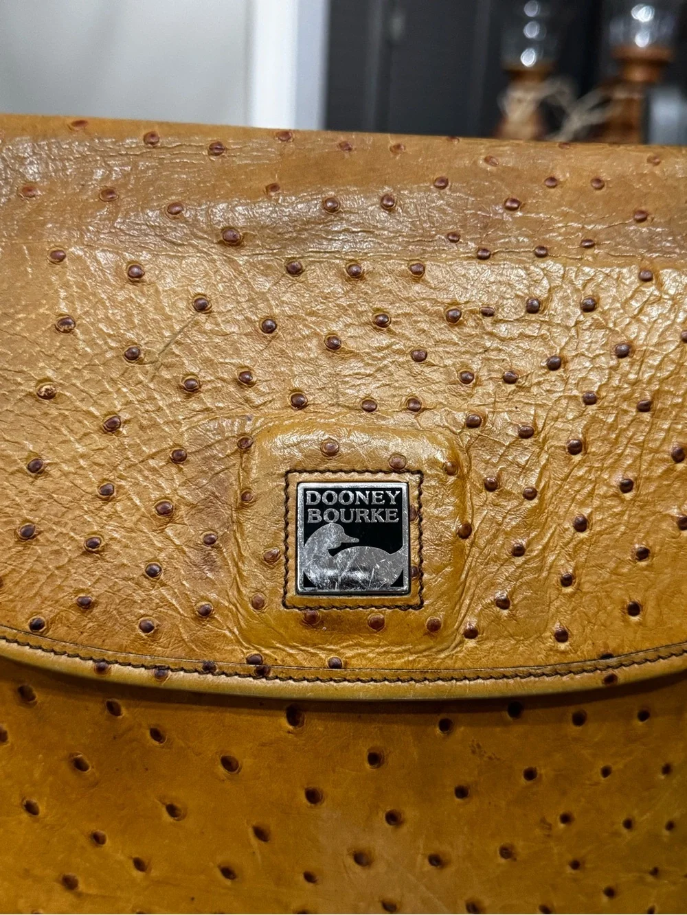 Dooney & Bourke vintage dooney